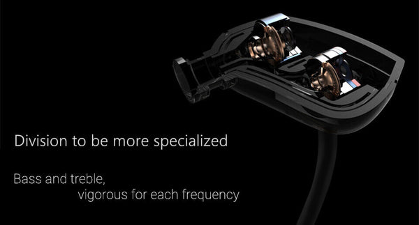 KZ ZS1 Dual Dynamic Driver Noise Cancelling In-Ear Monitors With Microphone