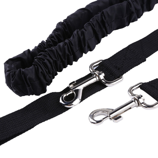 Reflective High Visibility Waist Belt with Dog Lesh, Bottle Holder and Snack Pack