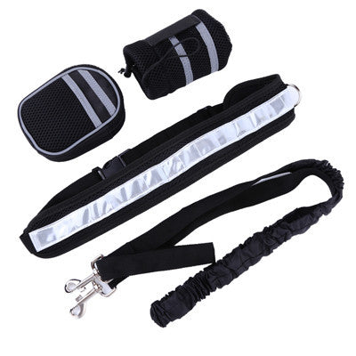 Reflective High Visibility Waist Belt with Dog Lesh, Bottle Holder and Snack Pack