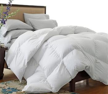  Oversized 330 Thread Count All-Season White Down Blend Comforter